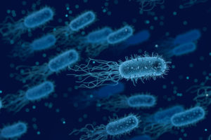 Legionella.