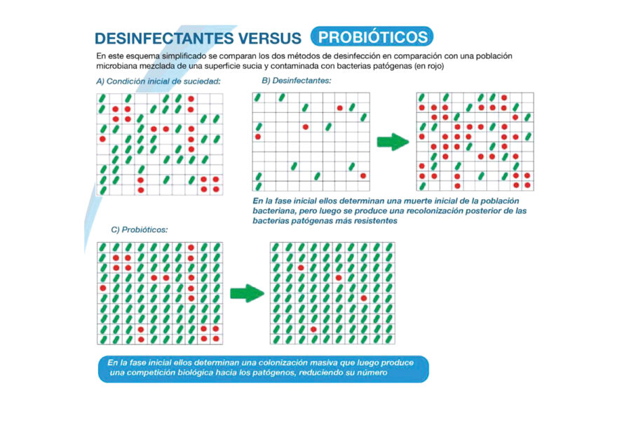 esquema probióticos Comindex y BBA Ecotech