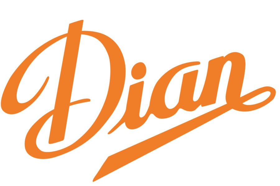 logo dian