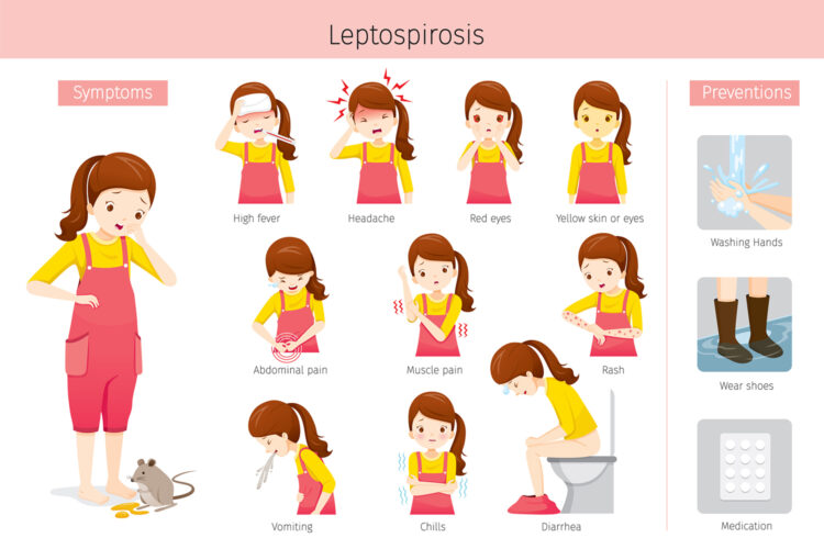 leptospirosis